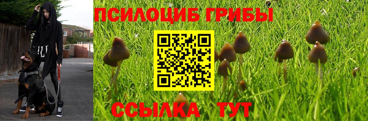 Галлюциногенные грибы Magic Shrooms Кудымкар